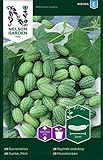 Mexikanische Minigurken Samen - Nelson Garden Gemüsesamen - Snackgurken Samen Saatgut (10 Stück) (Gurke, Mini, Einzelpackung) Foto, bester Preis 4,45 € neu 2024