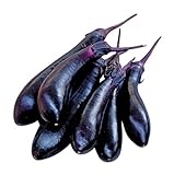 Burpee Millionaire Hybrid Eggplant Seeds 30 seeds Photo, best price $7.27 new 2024
