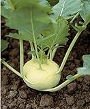 300 semillas de colo rava blanca – Verduras antiguas huertas – Método ecológico Foto, mejor precio 4,24 € nuevo 2024