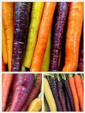 Homegrown Carrot Seeds, 1000 Seeds, Rainbow Supreme Carrot Mixture No GMO Photo, best price $5.49 new 2024