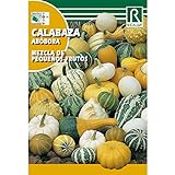 Semillas de Calabaza mezcla de pequeños frutos Foto, mejor precio 1,62 € nuevo 2024