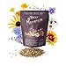 Photo Package of 80,000 Wildflower Seeds - Rocky Mountain Wildflower Mix Seeds Collection - 18 Assorted Varieties of Non-GMO Heirloom Flower Seeds for Planting Including Larkspur, Poppy, Columbine, & Daisy