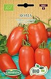 Germisem Orgánica Roma Semillas de Tomate 0.5 g Foto, mejor precio 3,99 € nuevo 2024