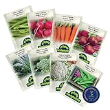 Organic Winter Vegetable Seeds, Heirloom Seed Set with Vegetable Seeds for Planting Home Garden, Includes Radish, Broccoli, Peas, Kale, Beets, Beans, Cauliflower, and Carrot Seeds - Môpet Marketplace Photo, best price $12.99 ($12.99 / Count) new 2024