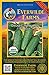 Photo Everwilde Farms - 50 Organic Homemade Pickles Pickling Cucumber Seeds - Gold Vault Packet