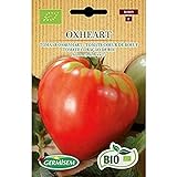 Germisem Orgánica Oxheart Semillas de Tomate 0.5 g (ECBIO8009) Foto, mejor precio 3,99 € nuevo 2024
