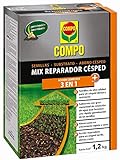 Compo Mix Abono reparador de césped 3 en 1 Semillas, substrato y abono césped, para 6 m², 1,2 kg Foto, mejor precio 12,56 € nuevo 2024