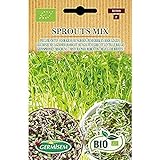 Germisem Orgánica Sprouts Mix Semillas 20 g (ECBIO1900) Foto, mejor precio 3,99 € nuevo 2024