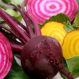 Beets - Gourmet Mix of Beet Seeds ► Non-GMO Red & Yellow Beet Seeds (100+ Seeds) ◄ by PowerGrow Systems Photo, best price $1.99 new 2024