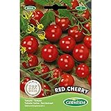 Germisem Red Cherry Semillas de Tomate 1 g (EC8004) Foto, mejor precio 2,45 € nuevo 2024