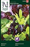 Salat Samen Mix Baby Leaf - Nelson Garden Gemüse Saatgut - Pflücksalat Samen (1120 Stück) (Salat, Baby Leaf mix, Einzelpackung) Foto, bester Preis 3,95 € neu 2024