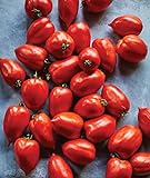 Burpee 'Big Mama' Hybrid | Large Red Paste Tomato | 50 Seeds Photo, best price $7.47 ($0.15 / Count) new 2024
