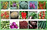 Gemüse Set 2: Broccoli Gurken Zwiebel Rosenkohl Kohlrabi Aubergine Salat Tomate Chili Paprika Melone Samen Saatgut Foto, bester Preis 6,95 € neu 2024