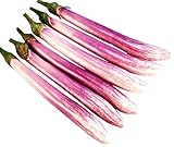 Chinese, Eggplant Seed - The Bride - 300 Heirloom Seeds - Non GMO - Neonicotinoid-Free Photo, best price $9.99 new 2024