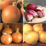 David's Garden Seeds Collection Set Onion Long-Day 9332 (Multi) 4 Varieties 800 Non-GMO, Open Pollinated Seeds Photo, best price $16.95 ($4.24 / Count) new 2024