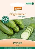 Bingenheimer Saatgut - Freilandgurke Persika - Gemüse Saatgut / Samen Foto, bester Preis 4,66 € neu 2024