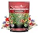Photo 170,000 Wildflower Seeds, 1/4 lb, 35 Varieties of Flower Seeds, Mix of Annual and Perennial Seeds for Planting, Attract Butterflies and Hummingbirds, Non-GMO…