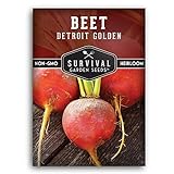 Survival Garden Seeds - Detroit Golden Beet Seed for Planting - Packet with Instructions to Plant and Grow Sweet Yellow Root Vegetables in Your Home Vegetable Garden - Non-GMO Heirloom Variety Photo, best price $4.99 new 2024