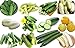 Photo 100+ Cucumber Mix Seeds 12 Varieties Non-GMO Delicious and Crispy, Grown in USA. Rare and Super Prolific