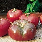 Burpee 'Cherokee Purple' Heirloom | Large Slicing Tomato | Rich Flavor Photo, best price $7.30 new 2024