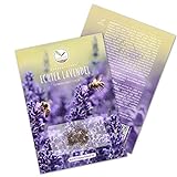 300x Lavendel Samen mit hoher Keimrate - Vielseitig einsetzbare Heilpflanze & ideal für Bienen und Schmetterlinge (inkl. GRATIS eBook) Foto, bester Preis 4,90 € neu 2024