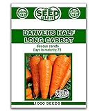 Danvers Half Long Carrot Seeds - 1000 Seeds Non-GMO Photo, best price $1.59 new 2024