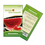 Wassermelonen Sugar Baby Samen - Citrullus lanatus - Wassermelonensamen - Obstsamen - Saatgut für 10 Pflanzen Foto, bester Preis 1,99 € (0,20 € / stück) neu 2024