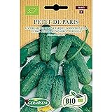Germisem Orgánica Petit de Paris Semillas de Pepino 2 g Foto, mejor precio 3,99 € nuevo 2024