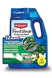 BioAdvanced 701910A 12-Month Tree and Shrub Protect and Feed Insect Killer and Fertilizer, 10-Pound, Granules Photo, best price $54.48 new 2024