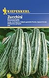 Zucchinisamen - Zucchini Coucourzelle von Kiepenkerl Foto, bester Preis 2,77 € neu 2024
