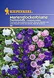 Sperli Blumensamen Glockenblume Marien-Prachtmischung, grün Foto, bester Preis 3,02 € neu 2024