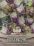 Kohlsamen - Rosenkohl Flower Sprout Autumn Star von Sperli-Samen Foto, bester Preis 7,48 € neu 2024
