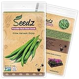 Organic Green Bean Seeds, APPR. 125, Green Bean, Heirloom Vegetable Seeds, Certified Organic, Non GMO, Non Hybrid, USA Photo, best price $7.88 new 2024