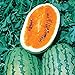 Photo Burpee Orange Tendersweet Watermelon Seeds 60 seeds