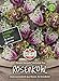 Foto 81180 Sperli Premium Rosenkohl Samen Flower Sprouts | Neuheit | Mischung aus Rosenkohl und Grünkohl | Rosenkohl Saatgut | Kohl Samen
