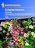 Schattenblumen-Mischung Foto, bester Preis 3,95 € neu 2024