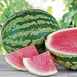Triple Crown Hybrid Watermelon seed (Seedless) One the best-tasting red variety Photo, best price $3.50 new 2024