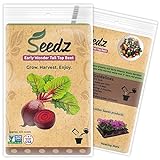 Organic Beet Seeds, APPR. 225, Early Wonder Tall Top Beet, Heirloom Vegetable Seeds, Certified Organic, Non GMO, Non Hybrid, USA Photo, best price $7.88 new 2024