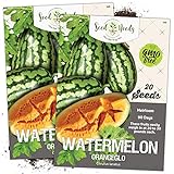 Seed Needs, Orangeglo Watermelon (Citrullus lanatus) Twin Pack of 20 Seeds Each Photo, best price $4.65 ($0.23 / Count) new 2024