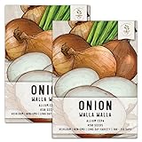 Seed Needs, Walla Walla Onion Seeds for Planting (Allium cepa) Twin Pack of 450 Seeds Each Non-GMO Long Day Photo, best price $8.85 new 2024