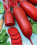 Seeds4planting - Seeds Beet Rival Red Giant Heirloom Vegetable Non GMO Photo, best price $6.94 new 2024