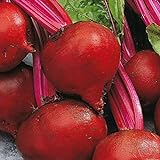 Bulk Organic Detroit Dark Red Beet Seeds Non GMO (1 Lb) Photo, best price $16.95 new 2024