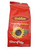 ERRO-Design GmbH goldies noccioli di semi di girasole 2,5 kg – Alimento Wild fuetterung, Uccelli, Mangime per uccelli, Girasole Semi foto, miglior prezzo EUR 24,98 nuovo 2025