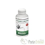 Concime Fertilizzante per Prato Bottos Vigor Liquid - 1 Lt foto, miglior prezzo EUR 15,00 nuovo 2025