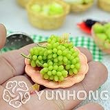 Pinkdose Nuovo Bonsai!Bonsai D'uva in Miniatura, Patio Syrah, Vitis Vinifera, Pianta d'appartamento, 50 PCS/Pack, Bonsai di Frutta, 13BG80 foto, miglior prezzo  nuovo 2024