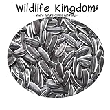 Wildlife Kingdom - Semi di girasole striati di alta qualità, adatti come cibo per i pappagalli parrocchetto, mangime energetico per uccelli selvatici✔ foto, miglior prezzo EUR 19,95 nuovo 2025