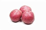 Seed Potatoes for Planting Russet - 5 lb Photo, best price $39.97 ($0.50 / Ounce) new 2024