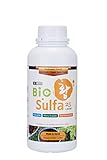 BioSulfa25 1L - Indoor Plant Fertilizer Indoor Potted Plants I Liquid Plant Food Indoor House Plants I Organic Plant Food I Liquid Lawn Fertilizer Concentrate I Indoor Plant Food I Organic Fertilizer Photo, best price $16.99 new 2024