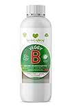 Symbioethical Veggy B - Fertilizante Vegetal con Magnesio, extracto de levadura y Algas pardas para hortalizas de Interior y Exterior - Cultivo ORGÁNICO - 500 ml Foto, mejor precio 9,90 € nuevo 2024