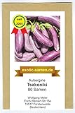 Aubergine - mittelspät - aus Griechenland - Tsakoniki - 80 Samen Foto, bester Preis 2,29 € neu 2025